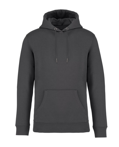 Hoodie met capuchon Type NS401 iron grey
