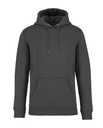 Hoodie met capuchon Type NS401 iron grey
