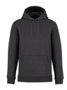 Hoodie met capuchon Type NS401 volcano grey heather